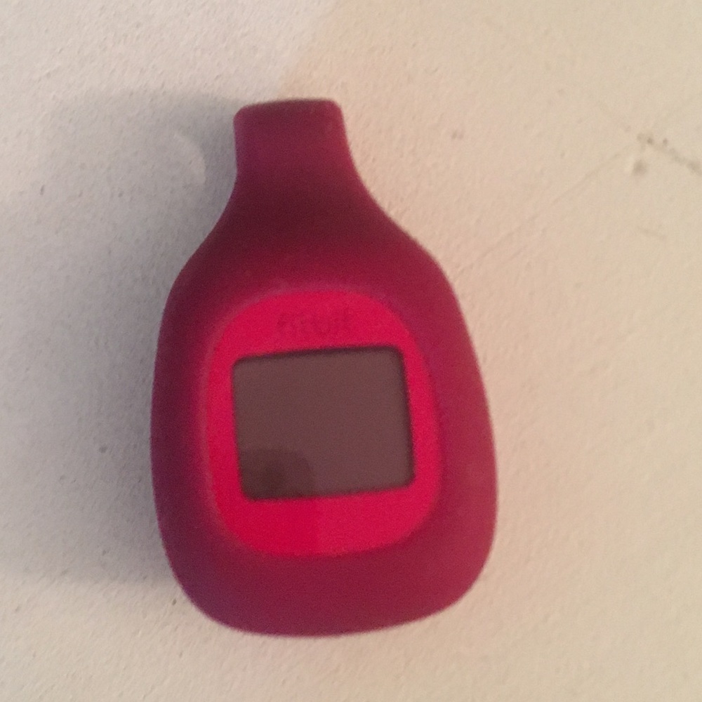 Fitbit Clip On